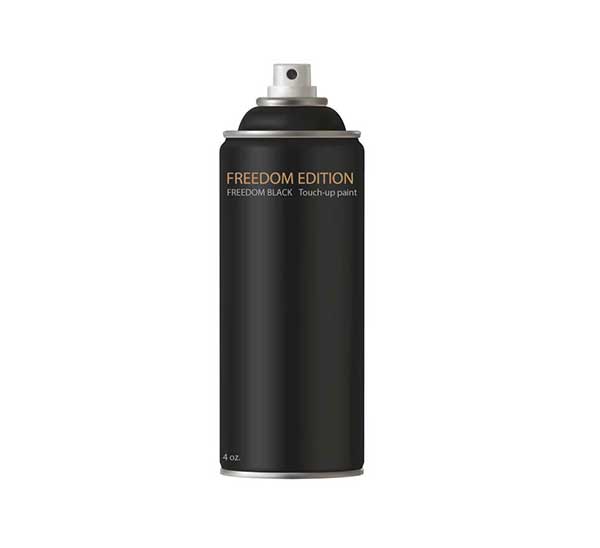 Flagpole Touch-up spray can - Freedom Black