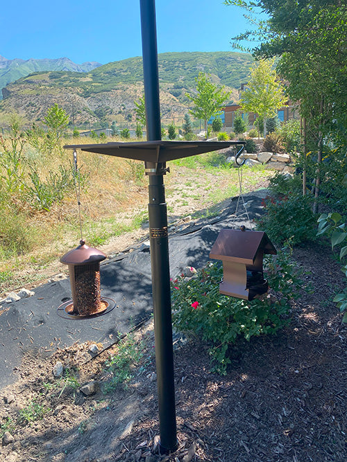 Flagpole Bird Platform and Feeders