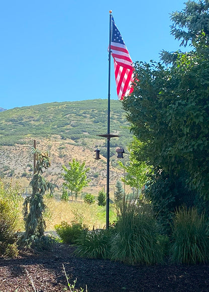 Flagpole Bird Platform and Feeders