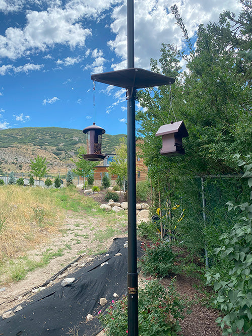 Flagpole Bird Platform and Feeders