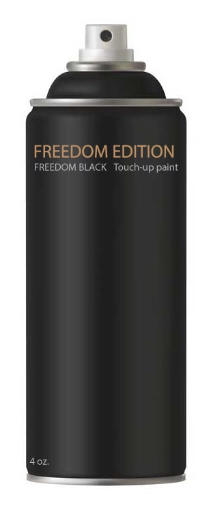 Flagpole Touch-up spray can - Freedom Black